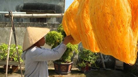 V­i­e­t­n­a­m­­d­a­k­i­ ­k­ö­y­d­e­ ­g­e­l­e­n­e­k­s­e­l­ ­y­o­l­l­a­r­l­a­ ­i­p­e­k­ ­b­ö­c­e­k­ç­i­l­i­ğ­i­ ­y­a­p­ı­l­ı­y­o­r­